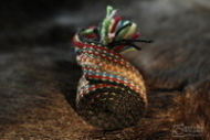 kram thordis