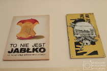 zdjecie